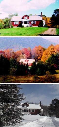 ratesphoto2_516